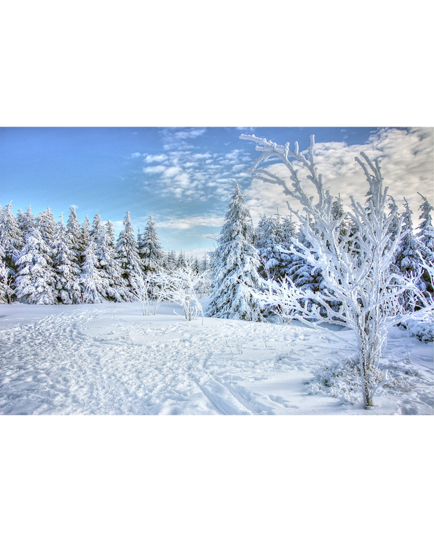 Alles, was Sie für das perfekte Winter-BBQ benötigen
