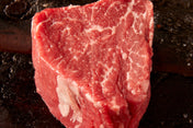 Rinderfilet Tournedos Uruguay Angus