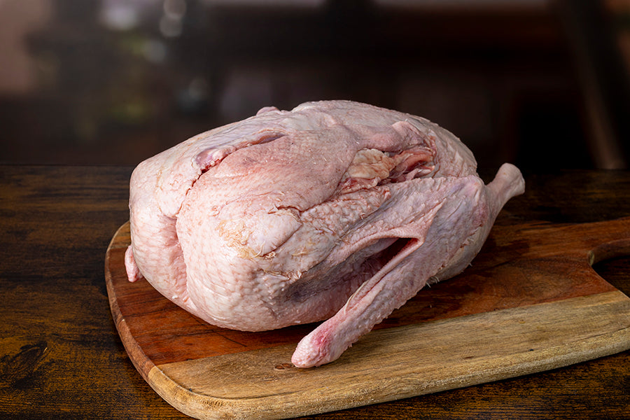 Weihnachtsgans Europa